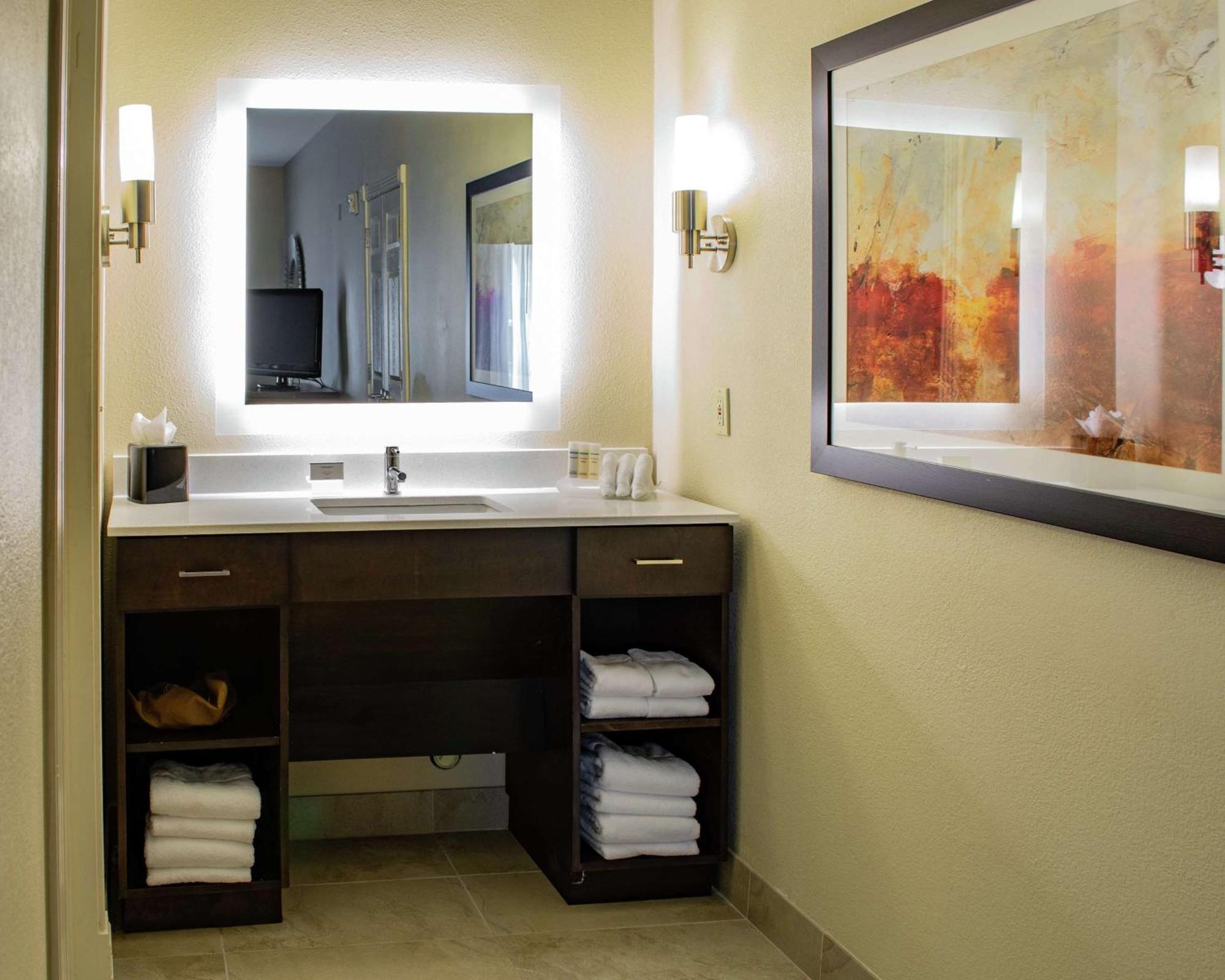 Homewood Suites By Hilton Houston-Woodlands-Shenandoah Зе-Вудлендс Екстер'єр фото