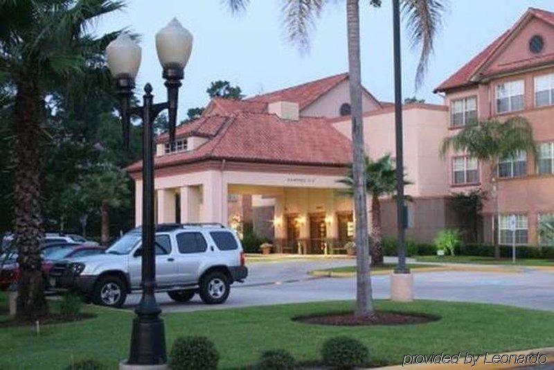 Homewood Suites By Hilton Houston-Woodlands-Shenandoah Зе-Вудлендс Екстер'єр фото